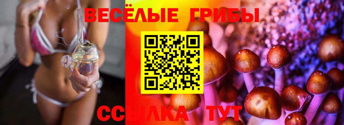 где купить   Галлюциногенные грибы MAGIC MUSHROOMS  Вход с VPN  Троицк 